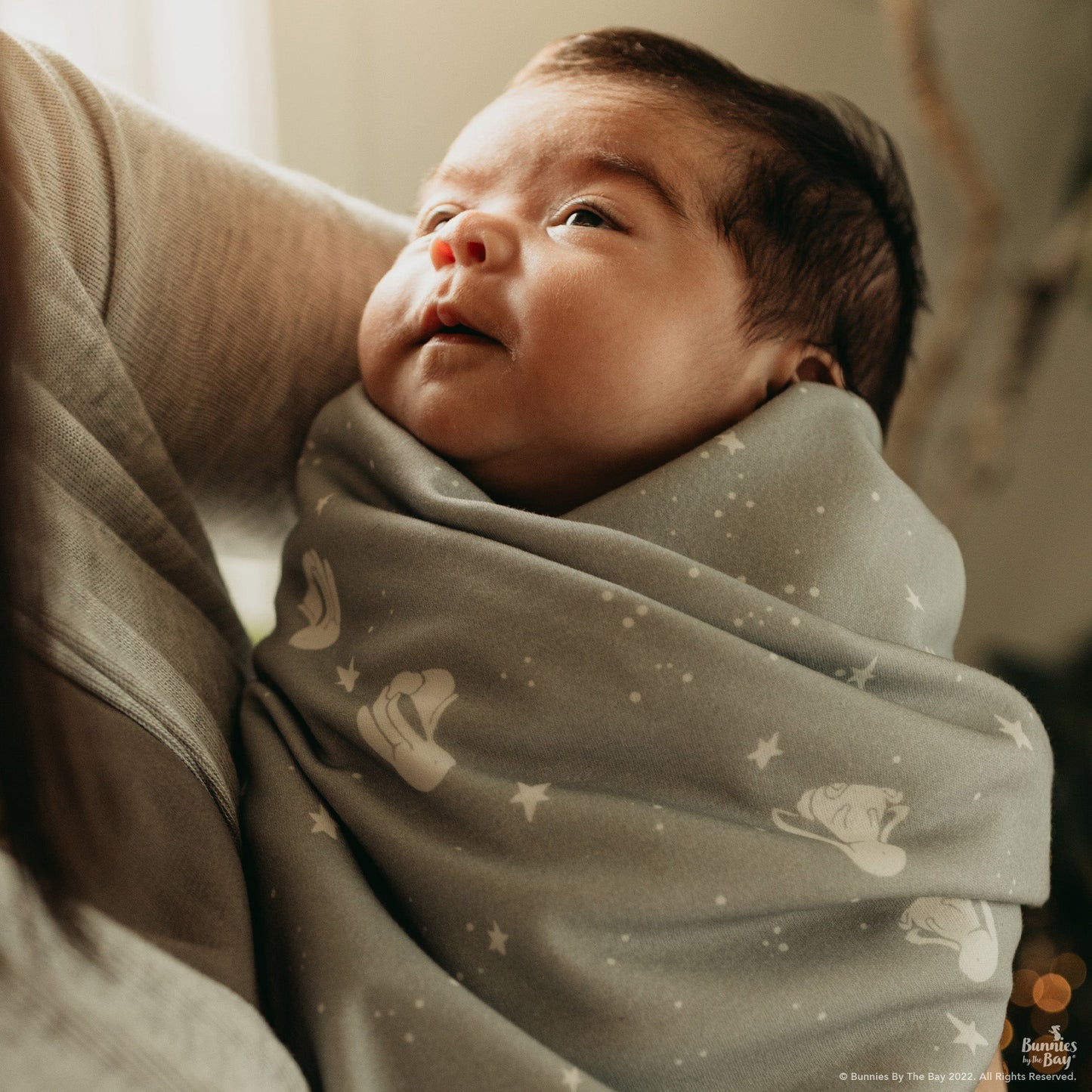 RETIRED - Bloom's Organic Receiving Blanket