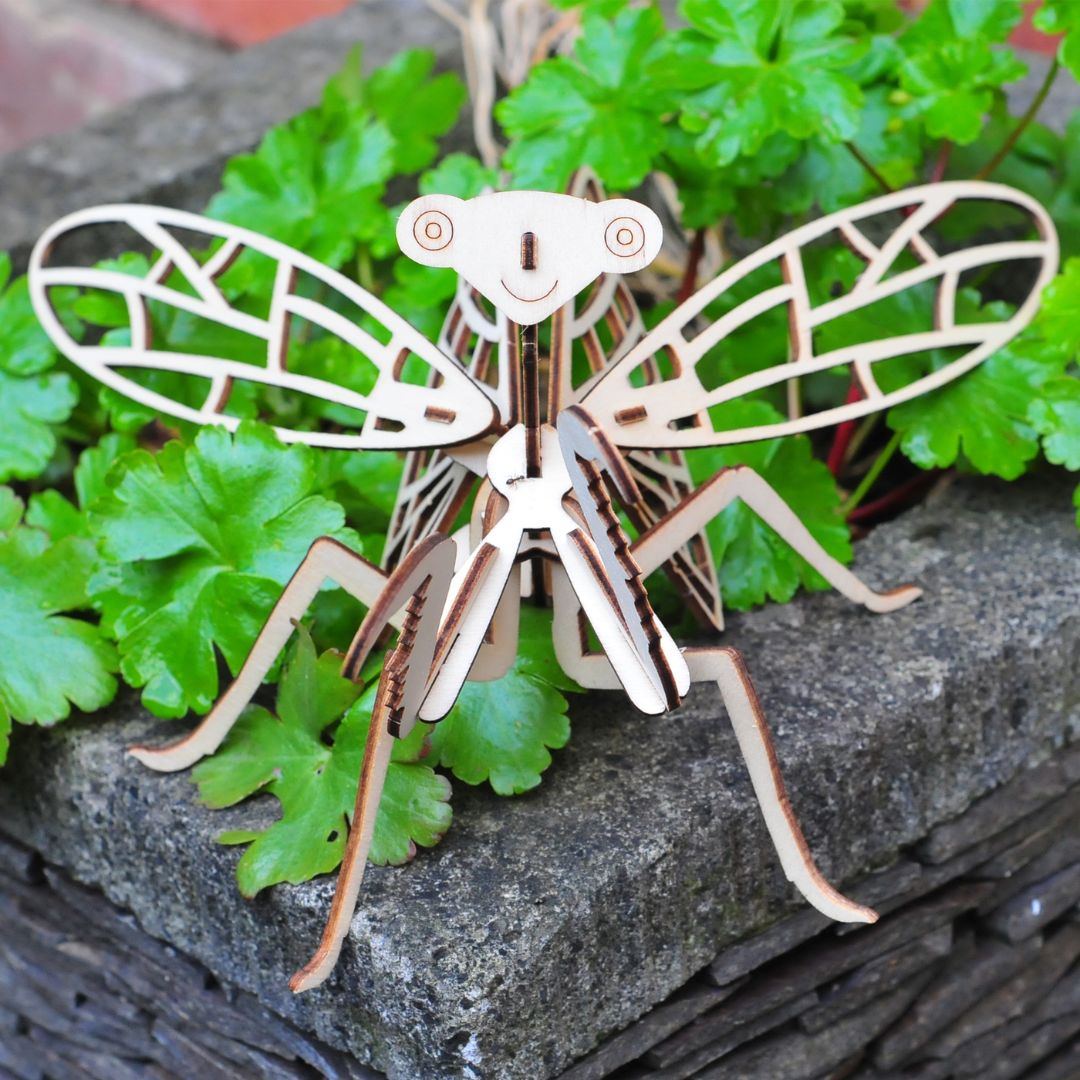Wooden Build A Bug Kit